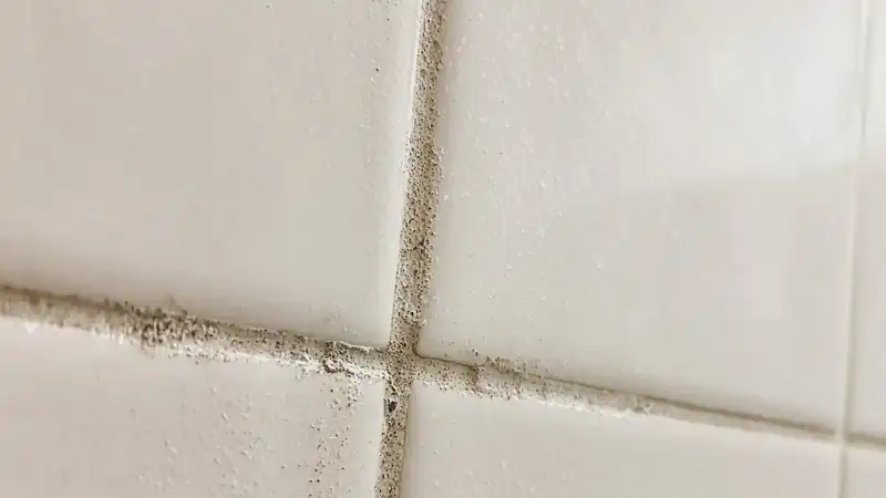 Soap scum and mineral film packed into shower grout — the kind of buildup a deep clean is actually for